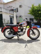 Image 32/51 of BSA B 44 (1966)