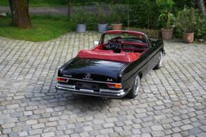 Imagen 24/53 de Mercedes-Benz 280 SE 3,5 (1970)