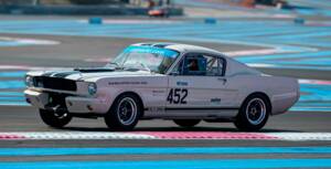 Imagen 18/19 de Ford Shelby GT 350 (1965)