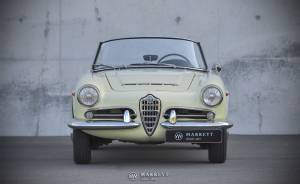 Image 8/49 of Alfa Romeo Giulia 1600 Spider (1964)