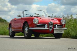 Bild 4/21 von Alfa Romeo Giulia 1600 Spider (1964)