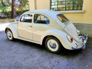 Immagine 7/10 di Volkswagen Maggiolino 1200 Standard &quot;Dickholmer&quot; (1963)