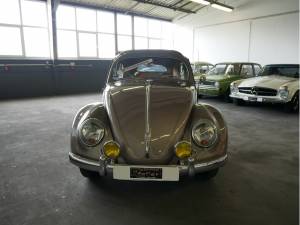 Image 2/27 of Volkswagen Beetle 1200 Standard &quot;Oval&quot; (1955)