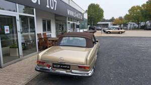 Imagen 42/52 de Mercedes-Benz 280 SE 3,5 (1970)