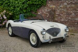 Immagine 26/50 di Austin-Healey 100/4 (BN1) (1954)