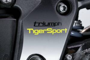 Bild 26/50 von Triumph DUMMY (2008)