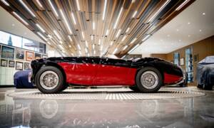 Bild 2/50 von Austin-Healey 100/4 (BN2) (1956)