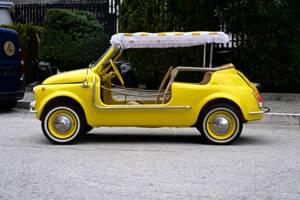 Image 7/45 of FIAT Ghia 500 Jolly (1971)