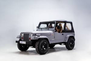 Bild 5/38 von Jeep Wrangler 2.5L (1991)