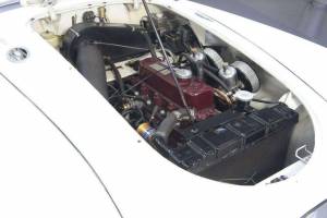 Bild 3/19 von MG MGA 1600 (1961)