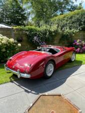 Bild 13/150 von Austin-Healey 100/4 (BN1) (1955)