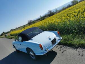 Bild 49/55 von Alfa Romeo Giulia 1600 Spider Veloce (1965)