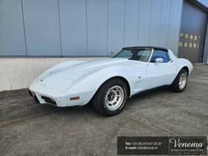 Bild 1/8 von Chevrolet Corvette Sting Ray (1979)