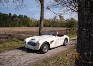 Afbeelding 9/24 van Austin-Healey 100/6 (BN4) (1957)