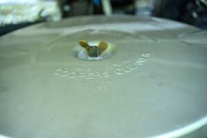 Immagine 51/64 di Jaguar Mk II 3.8 (1961)