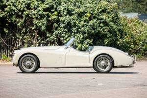 Bild 5/48 von Jaguar XK 120 C (C-Type) (1952)