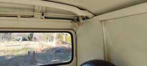 Bild 40/98 von Volkswagen T2b Kastenwagen (1979)