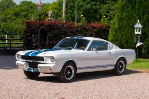 Bild 10/50 von Ford Shelby GT 350 (1965)