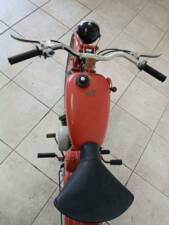 Bild 16/25 von Moto Guzzi Cardellino 65 (1954)