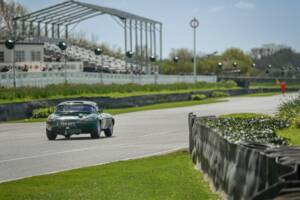 Obraz 8/50 pojazdu Jaguar E-Type "Semi-Lightweight" (1963)