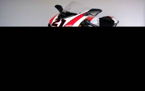 Image 38/98 of Ducati 1098 R (2010)