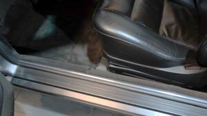 Image 5/34 of Mercedes-Benz 500 SEC (1991)