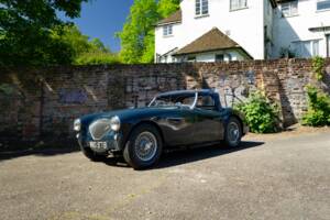 Bild 33/46 von Austin-Healey 100/4 (BN1) (1953)