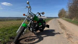 Immagine 10/13 di Suzuki LS 650 Savage (1998)