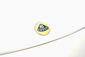 Bild 31/50 von Lotus Evora S (2013)