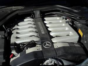 Image 11/12 of Mercedes-Benz 600 SE (1994)