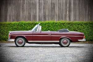Immagine 2/71 di Mercedes-Benz 220 SE b (1961)