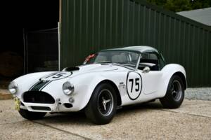 Image 1/9 de AC Shelby Cobra 289 (1960)