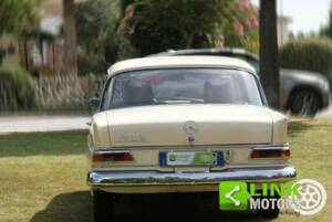 Bild 5/10 von Daimler 2.5 Litre V8 (1967)