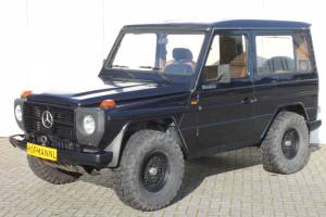 Bild 7/10 von Mercedes-Benz 300 GD (kurz) (1981)