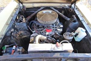 Image 19/20 of Ford Mustang 260 (1964)