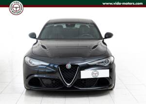 Bild 5/15 von Alfa Romeo Giulia Quadrifoglio (2017)