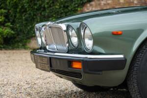 Image 30/50 of Jaguar XJ 6 4.2 (1985)