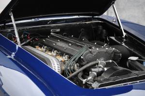 Bild 6/51 von Maserati 3500 GT Touring (1960)