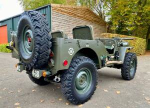 Immagine 8/16 di Willys Jeep M38 A1 (1952)