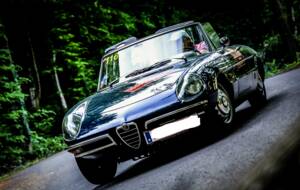 Image 3/5 of Alfa Romeo 1600 Spider Duetto (1966)