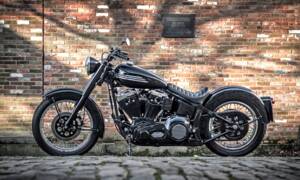 Afbeelding 11/15 van Harley-Davidson Heritage Softail Nostalgia FLSTN (1991)