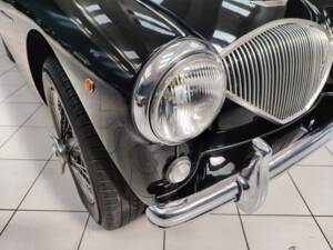 Bild 14/56 von Austin-Healey 100&#x2F;4 (BN2) (1956)