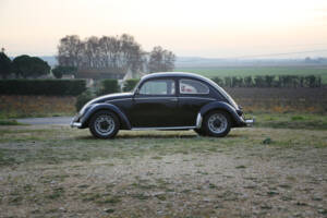 Bild 131/137 von Volkswagen Käfer 1200 Standard &quot;Ovali&quot; (1956)