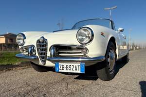 Bild 24/28 von Alfa Romeo Giulietta Spider (1961)