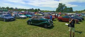 Bild 13/33 von Mercedes-Benz 170 S Cabriolet A (1950)