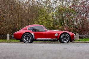 Afbeelding 25/50 van AC Cobra 289 (2000)