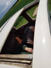 Image 11/15 of Jaguar SS 100 (1900)