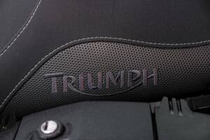 Bild 24/50 von Triumph DUMMY (2008)