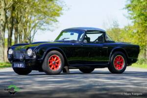 Bild 1/45 von Triumph TR 4 (1962)