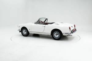 Immagine 4/15 di Alfa Romeo Giulia 1600 Spider Veloce (1965)